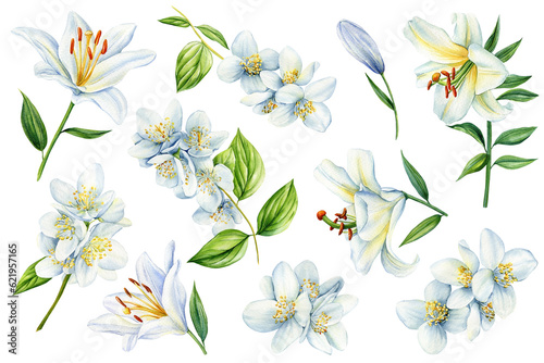 White jasmine and lilies flowers on isolated background. watercolor floral illustrations for invitation, card, design.