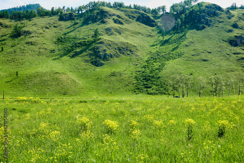 Panorama of beautiful mountainous terrain on a sunny summer day. Beautiful summer landscape in the mountains. Grassy field and hills with wildflowers and vegetation