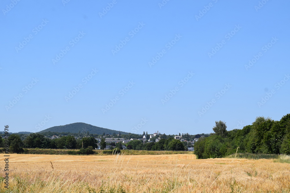 Small Town Mendig behind grain fields