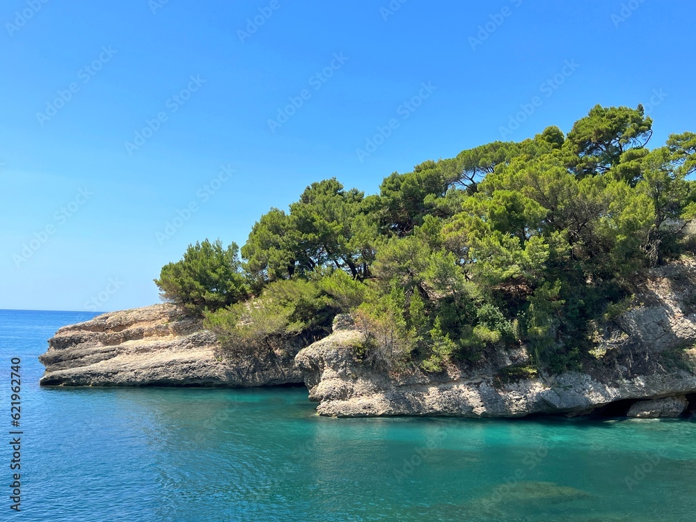 Blue sea and rocky coast overgrown pine trees at summer in Montenegro.
