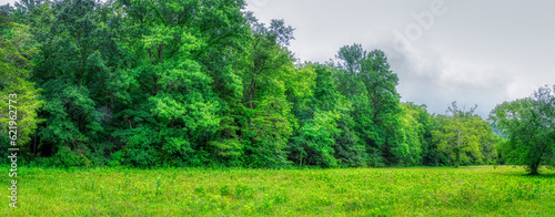 Cades Cove Rainy Meadow Panorama With Copy Space