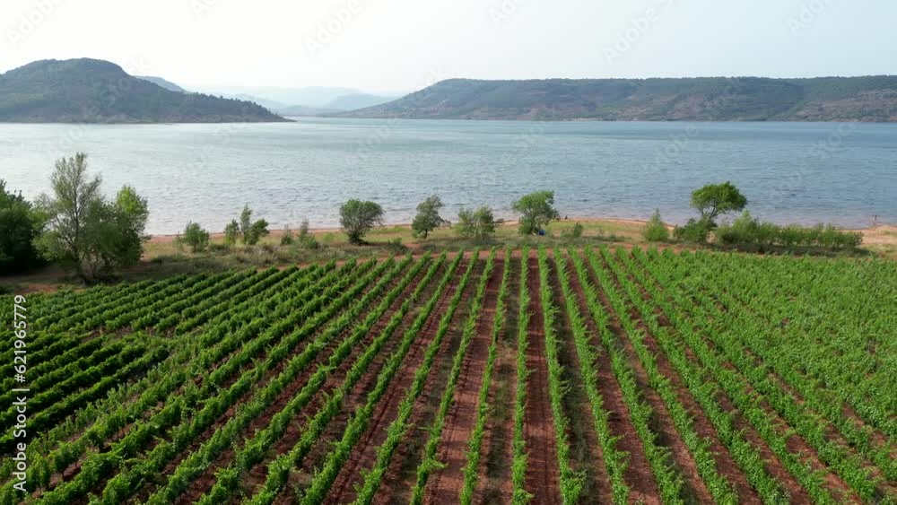 Flying over Vineyard and Lac du Salagou, Herault, Occitanie, France, High quality 4k footage Flying over Vineyard and Lac du Salagou, Herault, Occitanie, France, High quality 4k footage