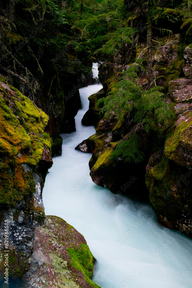 Obraz premium Avalanche Gorge, GNP