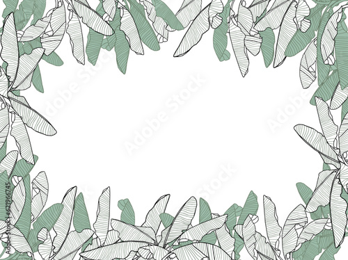 Tropical line art leaves frame, banana leaf vector background