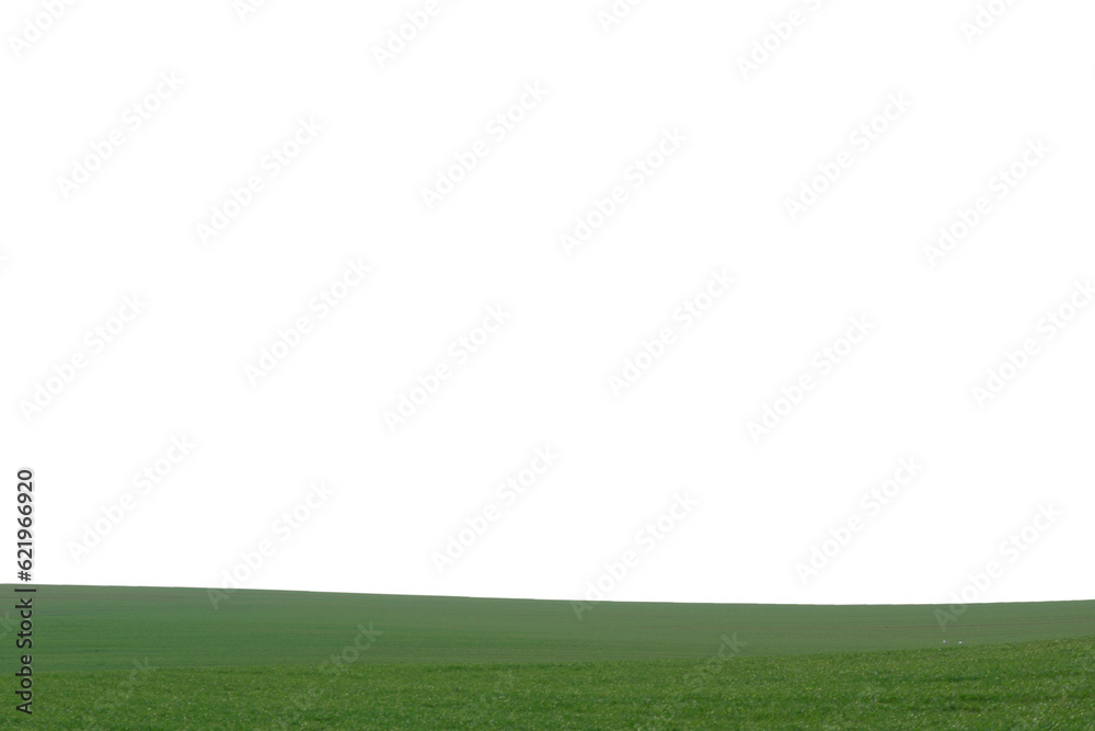 Green field as a background. Green grass in spring isolated on white background. Green field as a background. Green grass in spring isolated on white background.