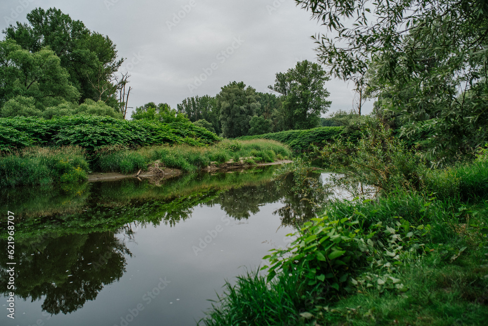 rzeka, woda, drzew, potok, jezior, krajobraz, lato, sadzawka, zieleń, piękne, naturalny, roślin, liści, flora, drzewa, natura, 