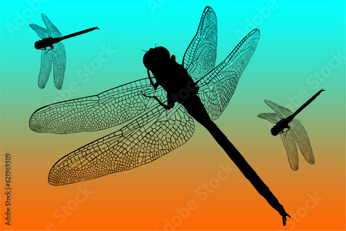 libelula, contraluz, atardecer, figura, vector