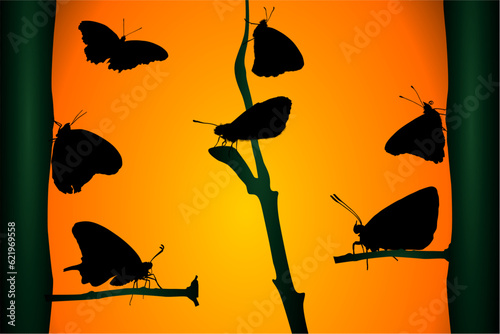 mariposas, figuras, contraluz, amarillo, atardecer