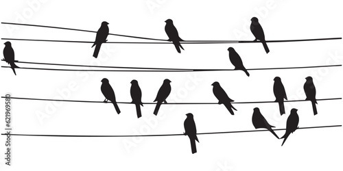 Silhouette Bird Sit on the power wire vector illustration