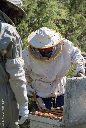 older man beekeeper in protective suit extracting bee panels and teaching his son the process of honey extraction.