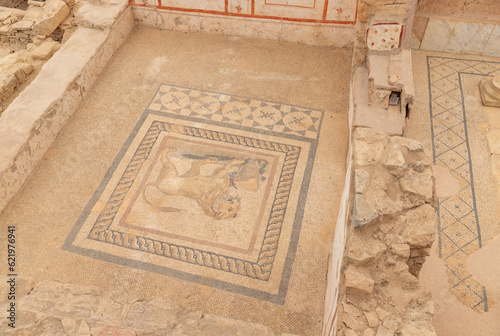 Ephesus - Lion Floor in Terrace Houses © Bruno Coelho