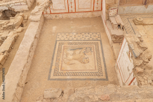 Ephesus - Lion Floor in Terrace Houses © Bruno Coelho