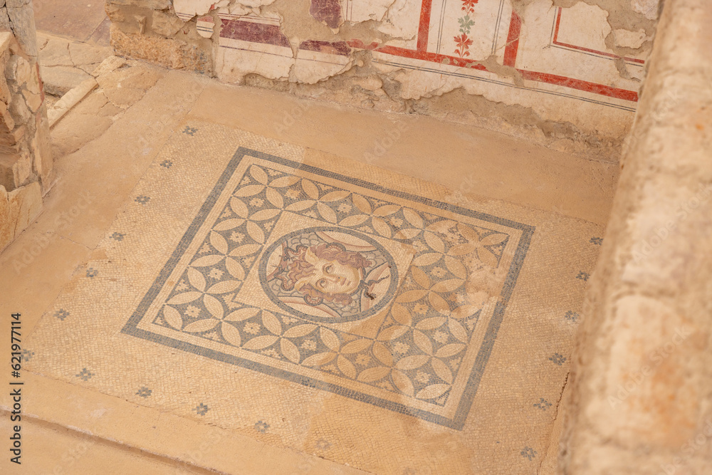 Ephesus - Medusa Floor in Terrace Houses