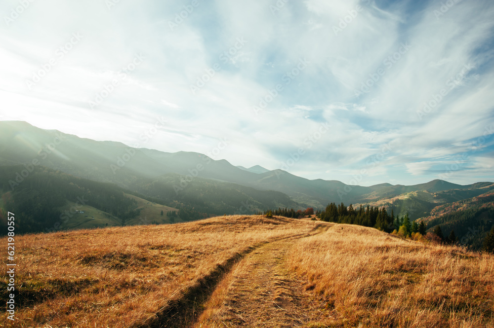 rural autumn background. mountains and colorful trees.