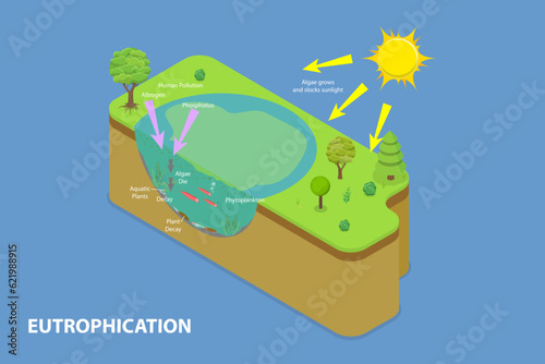 3D Isometric Flat Vector Conceptual Illustration of Eutrophication, Euphotic Zone