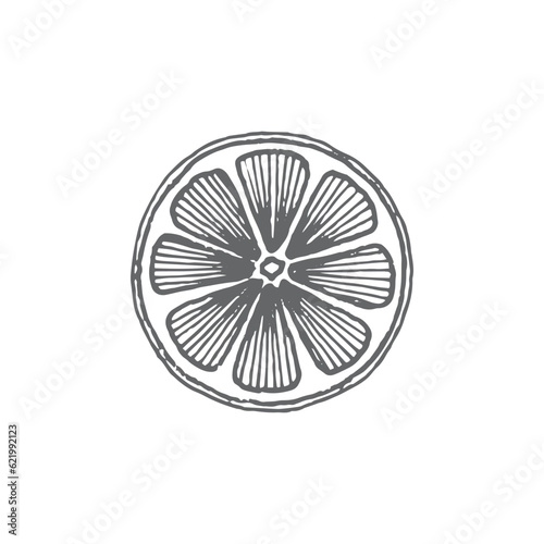 Logo element, clipart, nature, outline, tattoo, handdrawn, drawing © michaelrayback