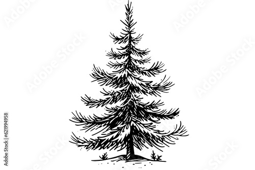 Christmas tree vector illustration. Hand drawn, engraving, ink, sketch.