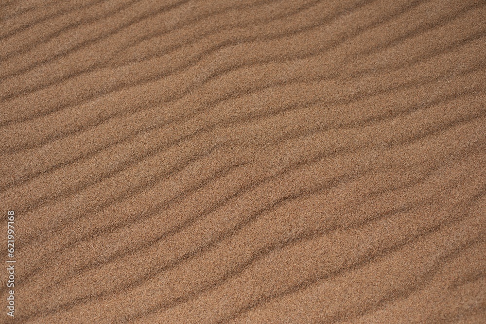 texture of sand texture of sand