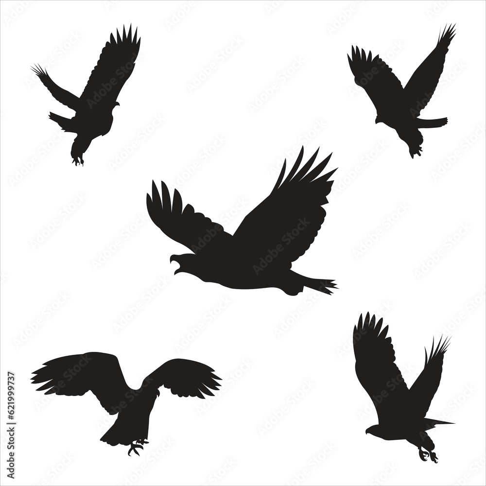 Set of Eagle silhouettes Set of Eagle silhouettes