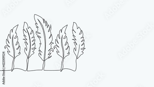 Self-drawing animation of continuous drawing of one line of feathers