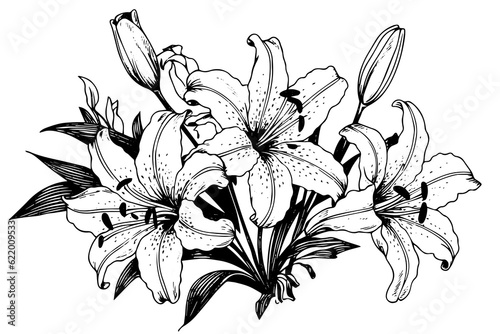 Monochrome black and white bouquet lily isolated on white background. Hand-drawn vector illsutration.