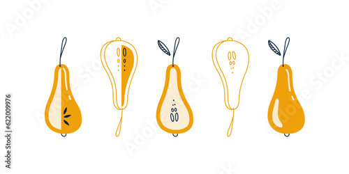 Stylish pears set. Flat whole and sliced pear illustration. Summer fruit illustration. Good for poster, postcard, print, cover, etc.