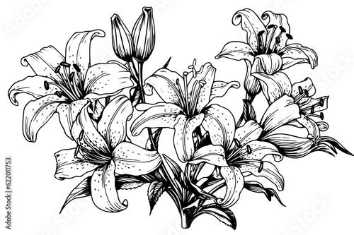 Monochrome black and white bouquet lily isolated on white background. Hand-drawn vector illsutration.