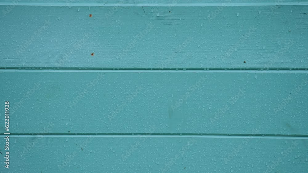 Exterior finishing of a frame house, finishing of a new house