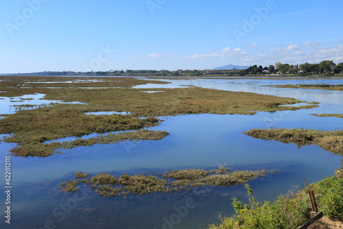 The swamp and wetlands in Tavira  Portugal