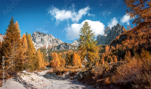 Seasonal autumnal scenery in highlands. Alpine landscape