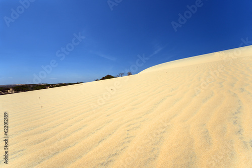 Beautiful Landscape Desert  White Sand Dunes of Mui Ne  Vietnam