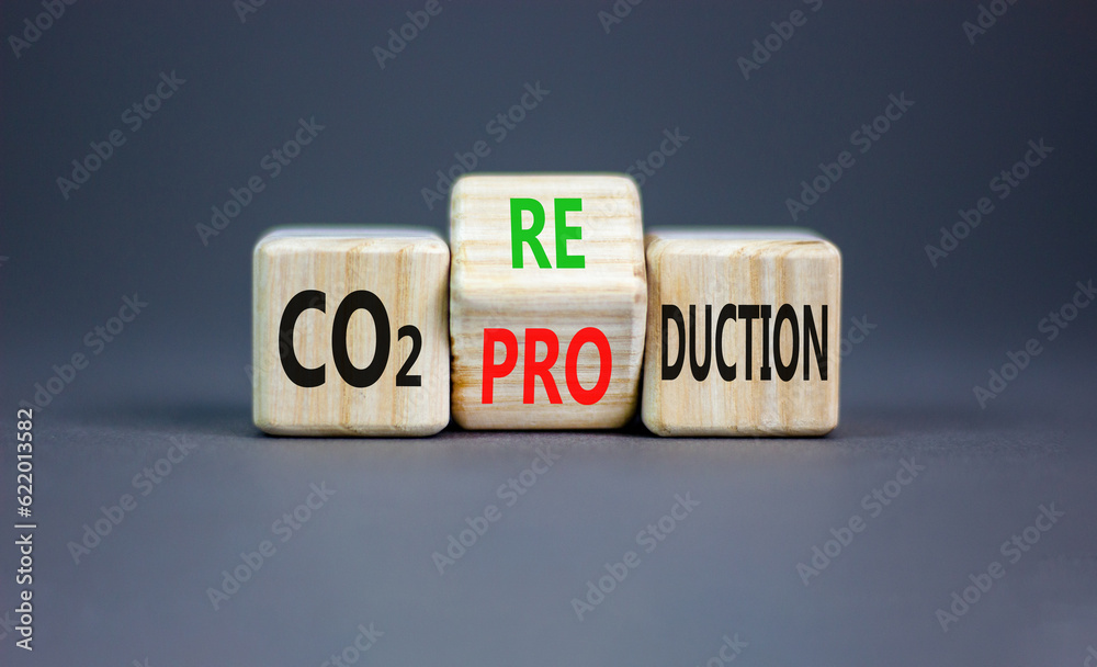 CO2 production or reduction symbol. Concept word CO2 production reduction on a wooden block on a beautiful grey table grey background. Business ecological and CO2 changes concept. Copy space. CO2 production or reduction symbol. Concept word CO2 production reduction on a wooden block on a beautiful grey table grey background. Business ecological and CO2 changes concept. Copy space.
