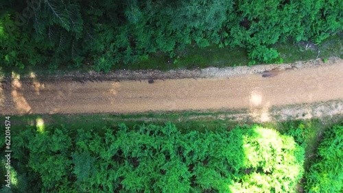 Aerial View of the path in the woods