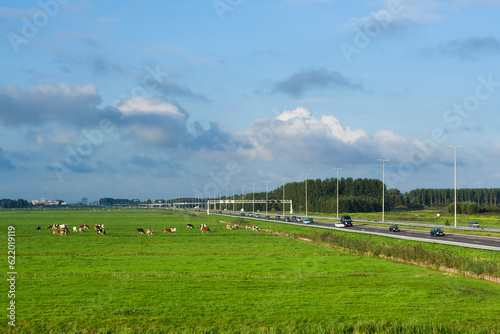 A4 highway along meadow