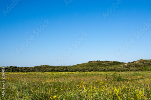 Landscape at Lentevreugd photo