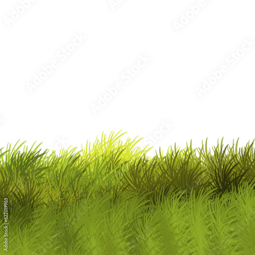 Fototapeta Naklejka Na Ścianę i Meble -  Grass leaves illustration.green grass.