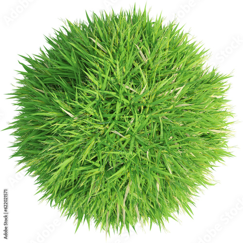 Top view of wild grass