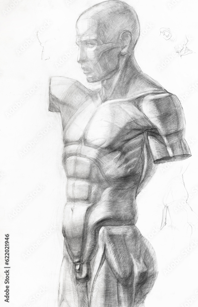 educational hand-drawn drawings of cast of male body on white paper drawn with graphite pencil educational hand-drawn drawings of cast of male body on white paper drawn with graphite pencil