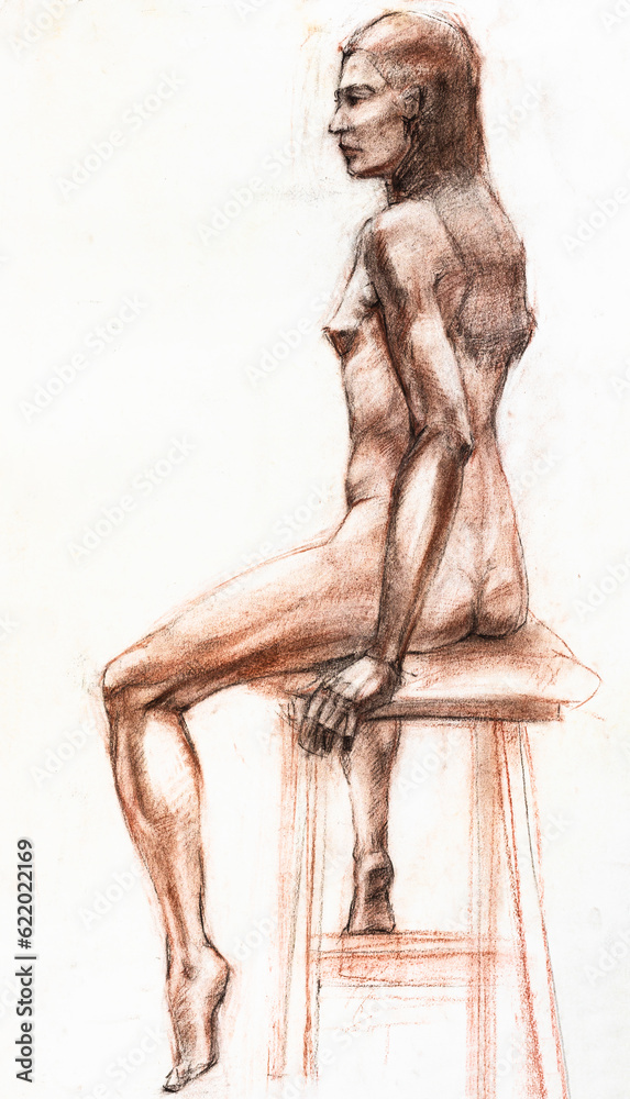 study hand-drawn drawing of sitting nude woman drawn with with sepia and sanguine on white paper study hand-drawn drawing of sitting nude woman drawn with with sepia and sanguine on white paper