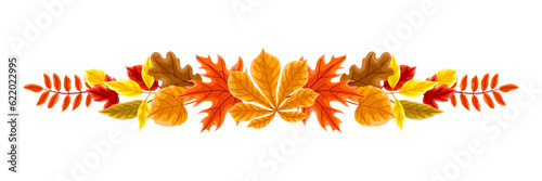 Background with autumn leaves. Illustration with various foliage.