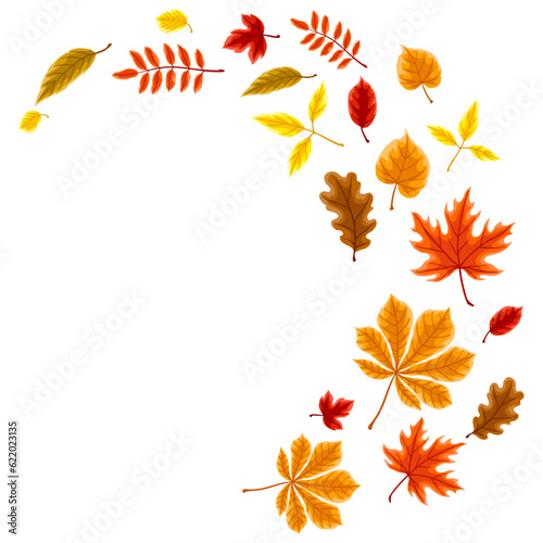 Background with autumn leaves. Illustration with various foliage.