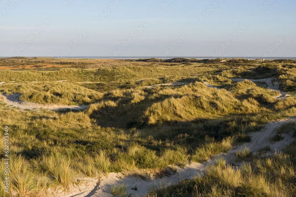 Duinen op Vlieland, Dunes at Vlieland