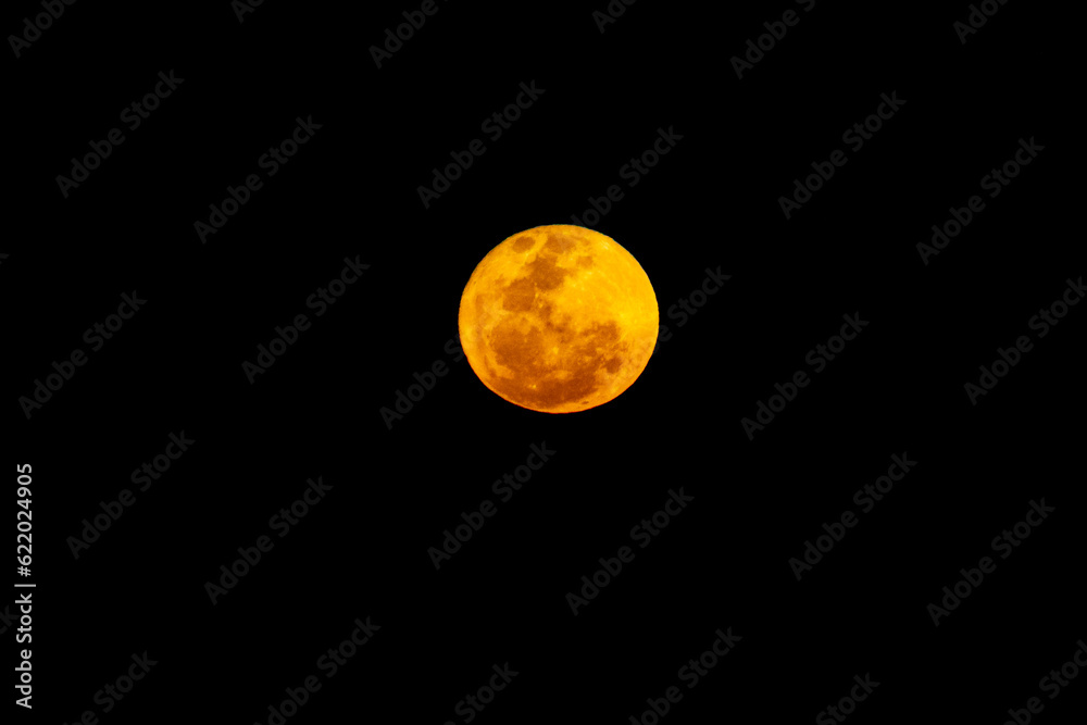 Fototapeta premium Super yellow full moon isolated on dark background