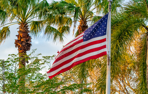 American flag against palms in Florida