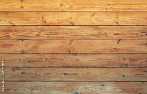 Wallpaper Mural Wooden plank background, natural wood Torontodigital.ca