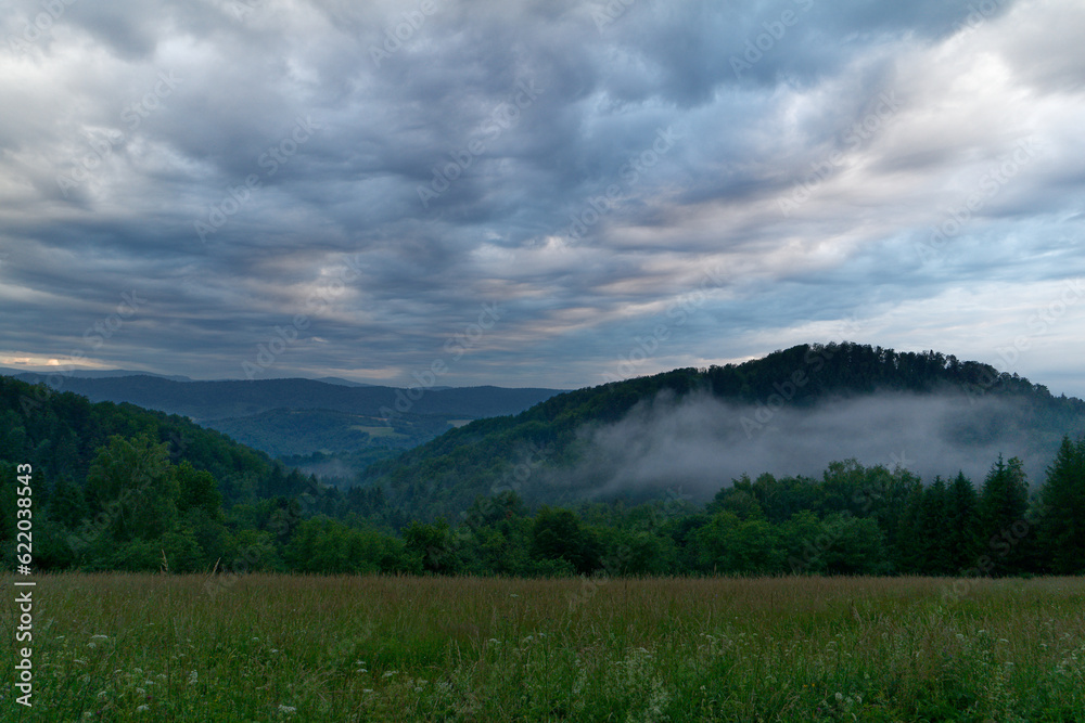 Wieczór w dzikich Bieszczadach, opadające mgły nad zielonymi górami. - obrazy, fototapety, plakaty 