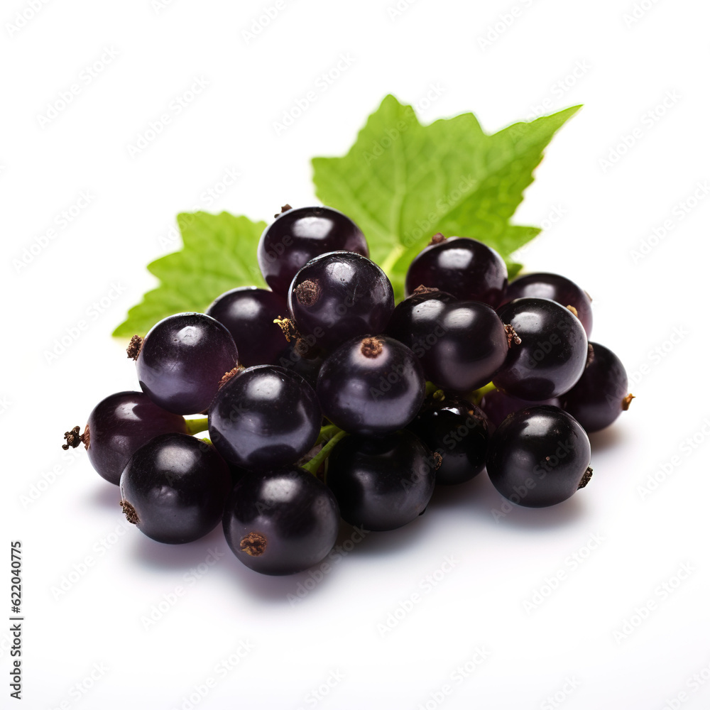 Blackcurrant Blackcurrant