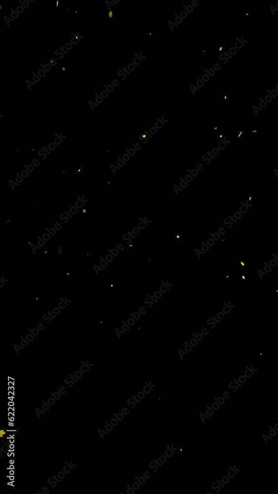 Loop falling autumn leaves on clean vertical black background. Seamless looping. Loop falling autumn leaves on clean vertical black background. Seamless looping.