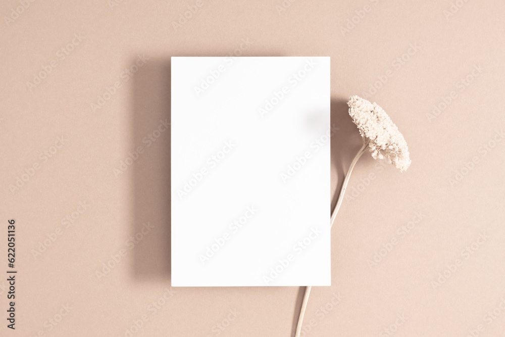 Flat lay, top view of paper blank, dried flowers, dry plants on pastel beige background. Autumn, fall concept, copy space Flat lay, top view of paper blank, dried flowers, dry plants on pastel beige background. Autumn, fall concept, copy space