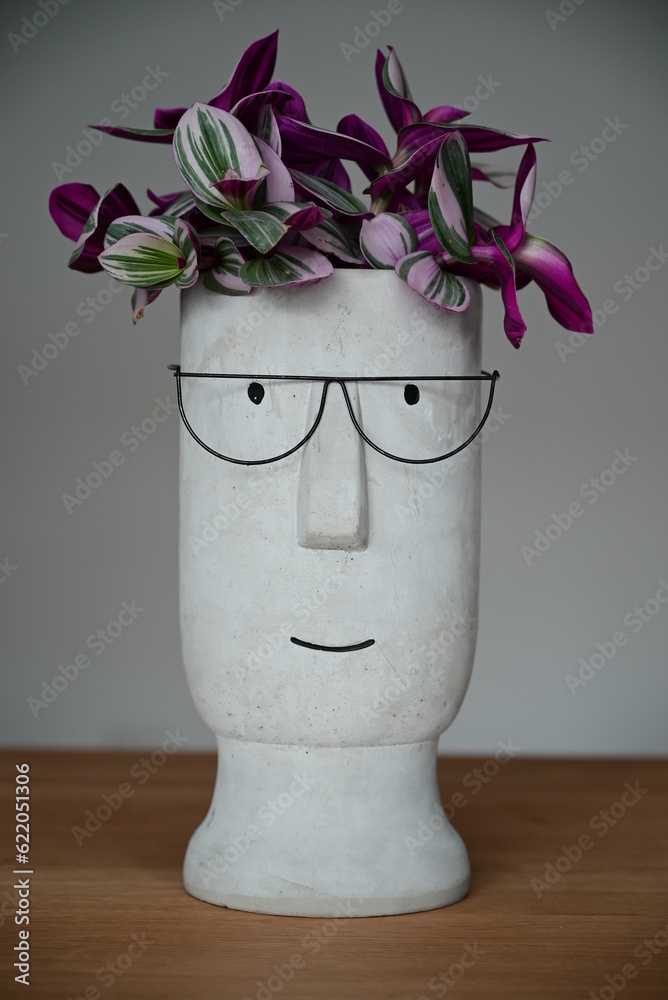 Blumentopf mit Brille und einer Pflanze als Harre. Der Blumentopf sieht